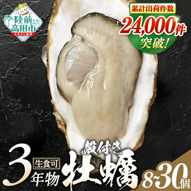 【ふるさと納税】 牡蠣 殻付き 生食用 8個 15個 30個 冷蔵 大粒 (ナイフ・軍手・剥き方説明書付き)[ 真牡蠣 牡蠣 かき カキ 生牡蠣 生食用 旬 新鮮 海鮮 濃厚 料理 鍋 牡蠣鍋 カキフライ バーベキュー BBQ キャンプ おいしい TV テレビ 産地直送 三陸 岩手 マルテン水産 ]