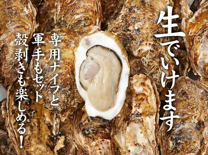 最大74 Offクーポン 期間限定 特大 天然 殻付き 岩牡蠣 約4kg 冷蔵 生食可 Fucoa Cl