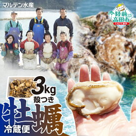 【ふるさと納税】 先行予約 牡蠣 殻付き 生食 約 3kg 冷蔵 (ナイフ・軍手・剥き方説明書付き)[ 真牡蠣 牡蠣 かき カキ 生牡蠣 生食用 旬 新鮮 海鮮 濃厚 料理 鍋 牡蠣鍋 カキフライ バーベキュー BBQ キャンプ おいしい 訳あり 産地直送 三陸 岩手 陸前高田 マルテン水産 ]
