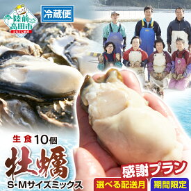 【ふるさと納税】先行予約 殻付き 牡蠣 10個 S/Mサイズ ミックス 数量限定 感謝プラン 発送時期が選べる [ かき カキ 生牡蠣 真牡蠣 新鮮 海鮮 鍋 牡蠣鍋 カキフライ バーベキュー BBQ 人気 生食可 三陸 産地直送 岩手 陸前高田 マルテン水産 ]