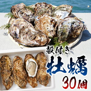 殻付き 牡蠣 生食の人気商品 通販 価格比較 価格 Com 殻付き 牡蠣 生食の人気商品 通販 価格比較 価格 Com