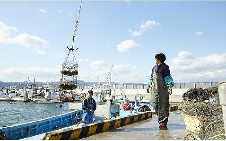2400円 セール ふるさと納税 広田湾漁協からお届け たっぷり海藻セット 岩手県陸前高田市