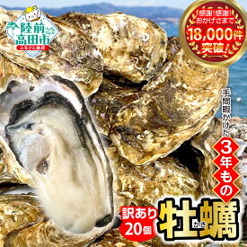【ふるさと納税】「発送時期が選べる」先行予約 訳あり 牡蠣 20個 殻付き 生食 (ナイフ・軍手・剥き方説明書付き) [ ワケあり 規格外 不揃い かき カキ 生牡蠣 真牡蠣 新鮮 海鮮 鍋 牡蠣鍋 カキフライ バーベキュー BBQ 人気 三陸 産地直送 岩手 陸前高田 マルテン水産 ]