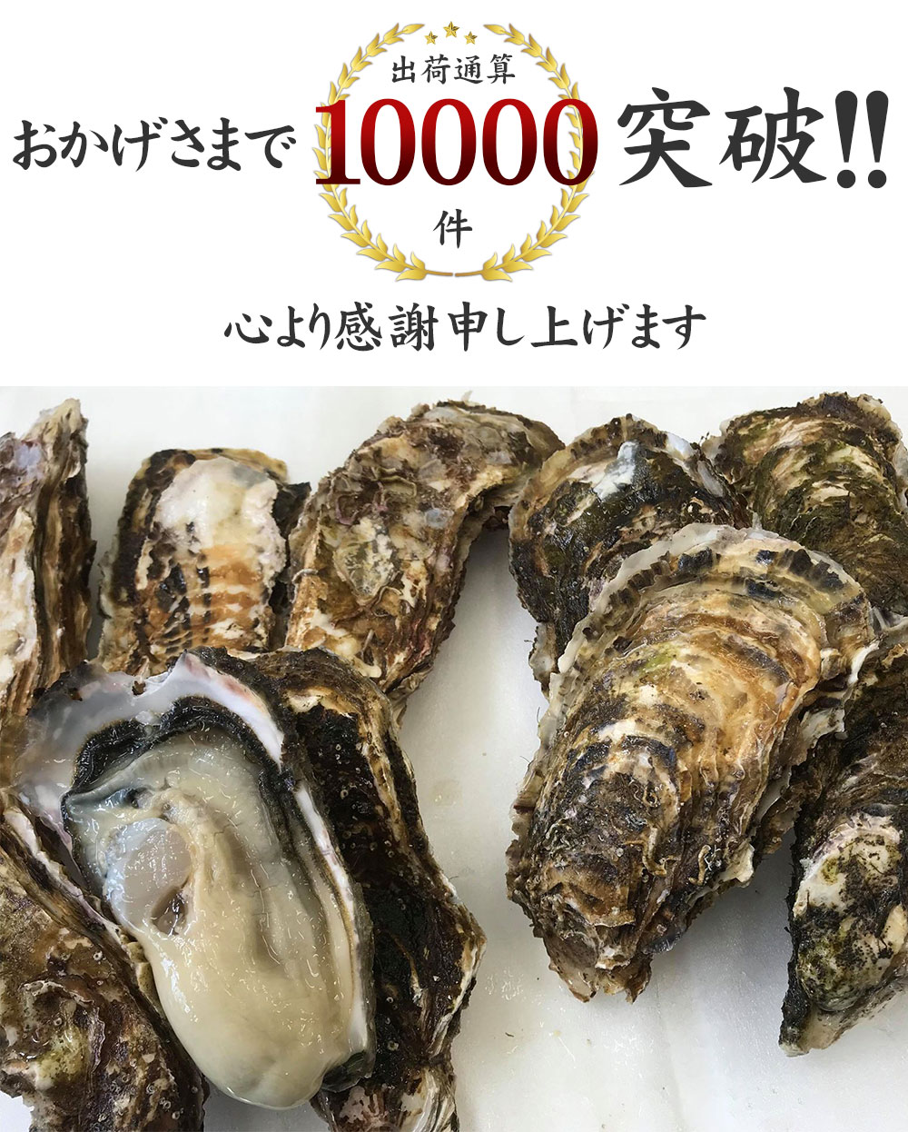 アイテムID:571955の画像1枚目