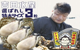 【ふるさと納税】むき身 牡蠣 特大サイズ 3粒 横綱牡蠣 吉田水産の選ばれしむき身牡蠣 [ かき カキ 大粒 むき身 冷蔵 個数限定 数量限定 旬 料理 鍋 牡蠣鍋 アヒージョ カキフライ 牡蠣ご飯 ギフト プレゼント 贈答品 三陸 岩手 陸前高田 ]