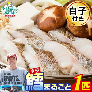 �y�ӂ邳�Ɣ[�Łz�y��s�\�� / ���ʌ���z ���q �t���I �^�� �܂邲��1�C �������� �①�ł��͂� [ �^�� �L ���� �^�L �^�_�� �① �� �Z�b�g �� �N�� �C�N�� �L�� �V�N �؂�g �O�����낵 ����