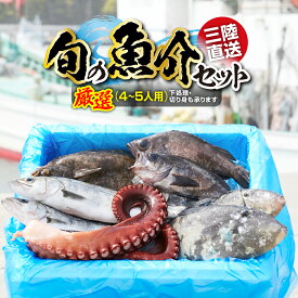 【ふるさと納税】魚 鮮魚 詰め合わせ セット 冷蔵 ≪厳選4～5人用≫ 【下処理可】 ≪特選≫ 【 下処理可 無添加 新鮮 三陸産 国産 天然 海鮮 お刺身 魚介 魚介類 海藻 鮮魚BOX ボックス お祝い 宴会 時短 便利 簡単 お手軽 産地直送 岸屋商店 】