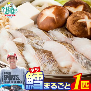 yӂ邳Ɣ[Łzyʌz ^ ܂邲1C  ①ł͂ [ ^ L  ^L ^_ ①  Zbg  N CN L VN ؂g O낵  Yn lꂽ 