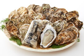 【ふるさと納税】かき小屋 気分で 牡蠣 三昧 セット 発送時期が選べる 〈 殻付き牡蠣 10個 / 殻付き牡蠣大サイズ 5個 / むき身 500g (加熱用)〉[ かき カキ 貝類 魚介類 大容量 人気 浜焼き グラタン フライ 鍋 BBQ バーベキュー 三陸産 広田湾 かき小屋広田湾 ]