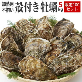 【ふるさと納税】訳あり 殻付き 牡蠣 5kg(約20個前後※大きさにより個数は前後致します) 不揃い 規格外 加熱用 冷凍 海産物 三陸産 かき グラタン 蒸し カンカン焼き 陸前高田 岩手 かき小屋 広田湾