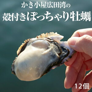 yӂ邳Ɣ[Łzkt ۂ y 12 iCt R t [  JL ICX^[ CY CN  ① ՂՂ   o[xL[ BBQ Lv VOV[h lC 
