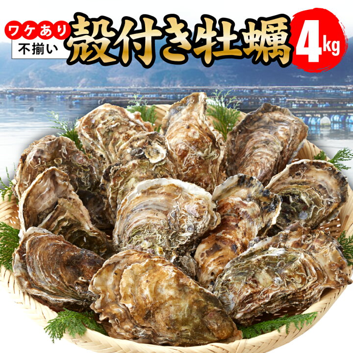2400円 セール ふるさと納税 広田湾漁協からお届け たっぷり海藻セット 岩手県