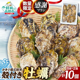 【ふるさと納税】感謝プラン 殻付き牡蠣8個+2個 計10個 生食可 数量限定 発送時期が選べる [ かき カキ 牡蠣 生牡蠣 生食用 貝類 魚介類 焼き牡蠣 蒸し牡蠣 魚介類 人気 浜焼き グラタン フライ 鍋 BBQ バーベキュー 三陸産 広田湾 かき小屋広田湾 ]
