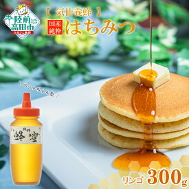 【ふるさと納税】国産 純粋 はちみつ 〈 リンゴ 〉 300g ×1個 【 蜂蜜 ハチミツ 無添加 天然 りんご 林檎 スイーツ お菓子 パンケーキ 調味料 濃厚 おすすめ 人気 常温 栄養 満点 ギフト 贈答品 贈り物 岩手 陸前高田 気仙養蜂 】★