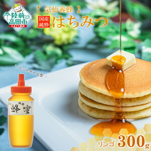 yӂ邳Ɣ[ŁzY  ݂͂ q S r 300g ×1 y I n`~c Y VR  ь XC[c َq pP[L  Z  lC 퉷 h{ _ Mtg i 