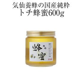 【ふるさと納税】はちみつ 国産純粋 トチ 蜂蜜 600g 気仙養蜂 瓶 添加物不使用