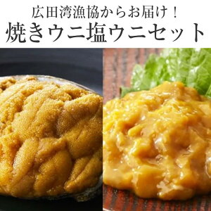 yӂ邳Ɣ[ŁzĂ   Hה Zbg y Ej _O ~Eosgp Y Z VR CY C̍K Ⓚ lC Yn { Mtg v[g 蕨 i j N