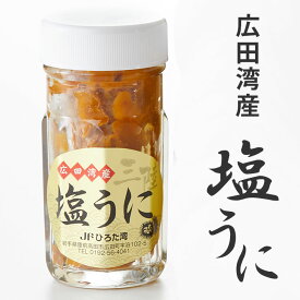 【ふるさと納税】塩うに 80g × 1本 【 うに ウニ 雲丹 ミョウバン不使用 無添加 濃厚 天然 海産物 海の幸 冷凍 人気 産地直送 旬 ギフト プレゼント 贈り物 贈答品 お祝い 年末年始 おせち おすすめ お取り寄せ リピート うに丼 珍味 三陸産 岩手県 陸前高田市 広田湾 】