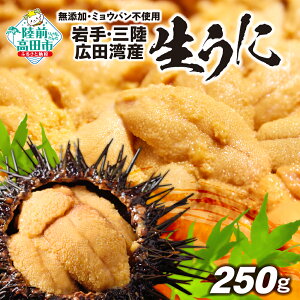 yӂ邳Ɣ[Łz]I  250g ~Eosgp y2026N s\z  Y TLEj [ O Lcp VR { Md Z lꂽ VN  _O Ej   CY