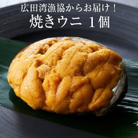 【ふるさと納税】無添加 焼き うに 1個(80g) 広田湾漁協からお届け！ 冷凍 岩手 ウニ 雲丹 あわび 殻 お取り寄せ 高級 海鮮