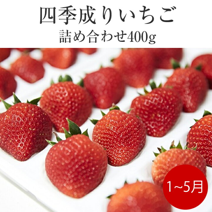 楽天市場 ふるさと納税 四季成り いちご 2種 詰め合わせ 400g 苺 食べ比べ なつあかり 信大bs8 9 夏の輝 夏のしずく すずあかね おまかせ ギフト 23年1 5月発送予定 岩手県陸前高田市