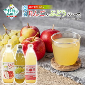 【ふるさと納税】【 数量限定 】 潮風りんごジュース ＆ ぶどうジュース 1L×3本 飲み比べ ［ りんご ぶどう 果物 旬 飲料 フルーツジュース ストレート 果汁 100％ おすすめ セット 詰め合わせ ギフト 岩手 陸前高田 ］