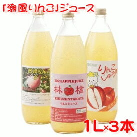 【ふるさと納税】 潮風 りんご ジュース 1L × 3本 セット 果汁 100％ ストレート 陸前高田の潮風が育てた リンゴ 陸前高田のドリンク 陸前高田 林檎 米崎りんご ( 2023年12月以降出荷 ※ 今シーズン 収穫した 搾りたて )