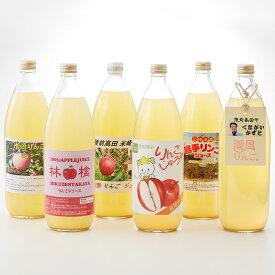 【ふるさと納税】飲み比べ 潮風 りんごジュース 1L × 6本 セット ［ 果汁 100% ストレート りんご リンゴ 林檎 ジュース アップルジュース 飲料 果物 フルーツ 人気 おすすめ ギフト プレゼント 贈り物 贈答品 岩手 陸前高田 ］