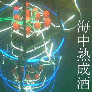 yӂ邳Ɣ[ŁzyCnzD  10 Cni1{jMtg v[g { C Î   Oc Oĉ