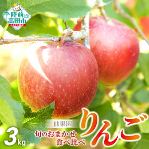 yӂ邳Ɣ[Łz  3kg i ܂ č Hה Zbg 3kg ( 8`10 ) 2iȏ͂ [  S ь t[c ʕ  { lC  lߍ킹 Mtg