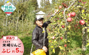 yӂ邳Ɣ[Łzy 󂠂 / ƒp z č iFӂ  5kg [  ь S { t[c ʕ Yn  ʌ lC  킯 KiO  W W[