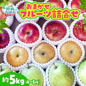 yӂ邳Ɣ[Łzs\ ܂ t[c lߍ킹 5kg ڈF4`5 Iׂ [  m t~bVr[eB[   䂸 t[c ʕ  { lC  