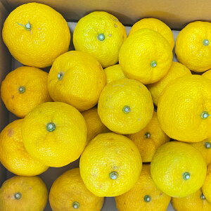 yӂ邳Ɣ[Łzy s\ / ʌ z ƒp k̂䂸  2kg [ 䂸 Y Mq k t[c ʕ  { lC   s[g 茧 Ocs a_ ] 20