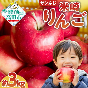 yӂ邳Ɣ[Łzs\ n  u ӂ v  3kg [ ӂ Tӂ t[c S ь Abv ʕ č apple { ] Ԍ ʌ x n lC W[V[ 