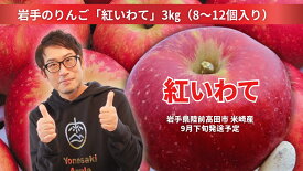 【ふるさと納税】先行予約 米崎りんご 紅いわて 3kg ( 8〜12個 ) 奇跡の果実 [ りんご リンゴ 林檎 フルーツ 果物 くだもの 旬 人気 おすすめ お取り寄せ リピート セット 詰め合わせ 手土産 ギフト プレゼント 贈り物 贈答品 国産 岩手 陸前高田 ]