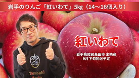 【ふるさと納税】先行予約 米崎りんご 紅いわて 5kg ( 12〜16個 ) 奇跡の果実 [ りんご リンゴ 林檎 フルーツ 果物 くだもの 旬 人気 おすすめ お取り寄せ リピート セット 詰め合わせ 手土産 ギフト プレゼント 贈り物 贈答品 国産 岩手 陸前高田 ]