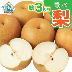 yӂ邳Ɣ[Łzq 2025N s\ r  L  3kg ʌ  [ t[c ʕ Ȃ a L fU[g { H lC  Yn    Oc FJ_