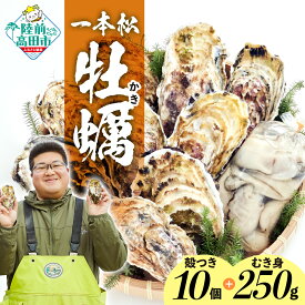 【ふるさと納税】牡蠣 殻付き ( 生食用 ) 10個 & むき身 ( 加熱用 ) 250g セット 一本松牡蠣 剥き方説明書付き 【 天然 新鮮 かき カキ 生牡蠣 大粒 人気 おすすめ 冷蔵 鍋 牡蠣鍋 バーベキュー BBQ カキフライ 産地直送 国産 岩手 陸前高田 三陸産 広田湾産 気仙町 】