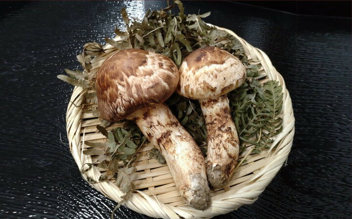 9/30採れ 岩手県産 松茸 490g - 野菜
