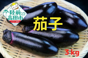 yӂ邳Ɣ[Łzlꂽ VN ֎q eʂIׂ 1.5kg / 3kg iF [ Ȃ iX  Ė xW^u { lC   u 퉷 o[xL[ AEghA Lv Yn