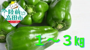 yӂ邳Ɣ[Łzlꂽ VN s[} eʂIׂ 1kg ` 3kg iFj[G[X [  xW^u VN { lC  u l N 퉷 o[xL[ AEghA L