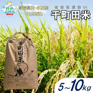 yӂ邳Ɣ[Łz_9/30܂ł̌t^ s\ ߘa7NY  zܗl pbP[W ЂƂ߂ڂ 璬c ܂܂ eʂIׂ 5kg 10kg [    uh  Yn 
