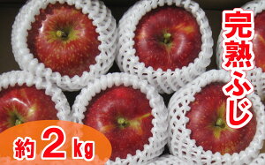 yӂ邳Ɣ[Łzs\ n  u ӂ v 2kg ʃTCY y S ь č ʕ t[c { Ԍ ʌ Mtg v[g i lC   