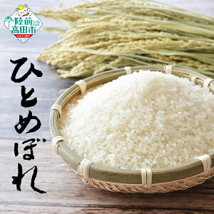 【ふるさと納税】米 10kg 令和7年産 ひとめぼれ 新米 白米 [ 米 お米 ごはん ライス 精米 数量限定 人気 おすすめ お弁当 弁当 料理 おにぎり おむすび 食品 災害用 防災 非常食 保存食 備蓄 仕