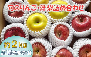 yӂ邳Ɣ[Łzs\ { n  ( m܂ )  2kg i킨܂ 1`2 y S ь č miV Ȃ  ʕ t[c { Ԍ ʌ Mtg v[g