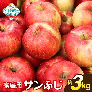 yӂ邳Ɣ[Łzs\ lCNo.1 ƒp  u Tӂ v  3kg [ { S ь č ʕ t[c { Ԍ ʌ 󂠂 P 킯 s KiO  