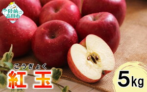 yӂ邳Ɣ[Łz{  5kgq i g r Eَqɂ [ t[c S ь Abv ʕ 傭 Ԍ ʌ W AbvpC  َq lC W[