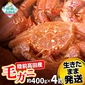 yӂ邳Ɣ[ŁzJj уKj Iׂ TCY 250g ` 600g q܂ܔIr[  I т ъI   CY VN VR Ni { lC  ①  䥂   ɂ