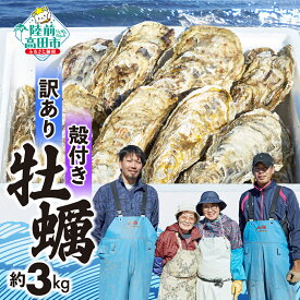 【ふるさと納税】訳あり 殻付き牡蠣 約3kg 発送時期が選べる [ かき カキ 海鮮 個数限定 数量限定 旬 わけあり 規格外 料理 生牡蠣 鍋 牡蠣鍋 アヒージョ カキフライ 牡蠣ご飯 旨み たっぷり 冷蔵 生食可 キャンプ バーベキュー BBQ 三陸 岩手 陸前高田 大和水産 ]