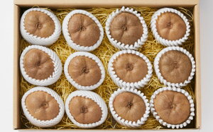 yӂ邳Ɣ[Łzʌ AbvLECt[c 1 ƒp ڈ 12`15 [ Abv LEC LECt[c AbvLEC ʕ t[c { Ԍ  A 󂠂 킯 lC